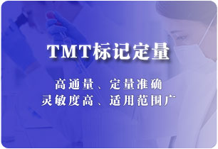 TMT標記定量