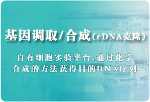 基因調(diào)取/合成(cDNA克隆)