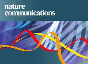 「輝駿客戶文章」Nature Communications| 中科院團(tuán)隊新成果揭示乙肝病毒與肝癌關(guān)系的新機(jī)制