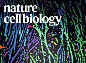 「輝駿客戶文章」Nature Cell Biology| 質(zhì)譜檢測技術(shù)助力體細(xì)胞重編程研究