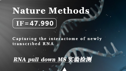 Bao X.C. et al: Capturing the interactome of newly transcribed RNA