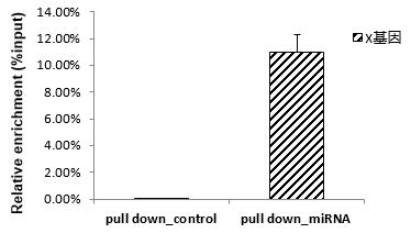 輝駿生物miRNA pull down qPCR檢測(cè)結(jié)果（陽(yáng)性）