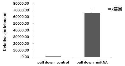 輝駿生物miRNA pull down qPCR檢測(cè)結(jié)果（陽(yáng)性）